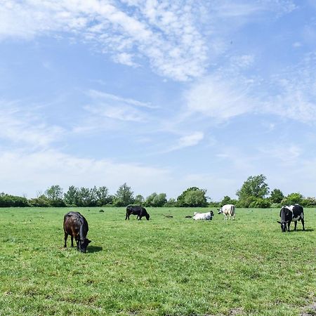 Green Acre Farm Или Экстерьер фото
