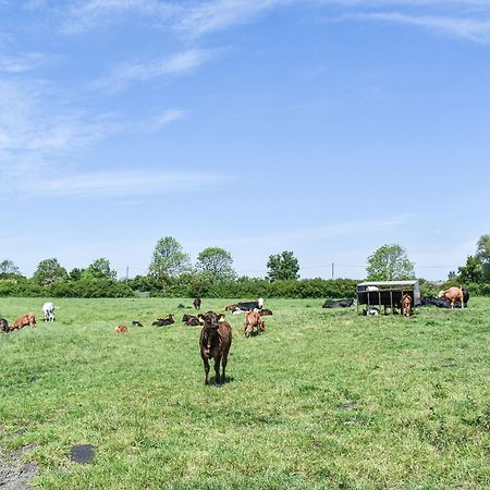Green Acre Farm Или Экстерьер фото